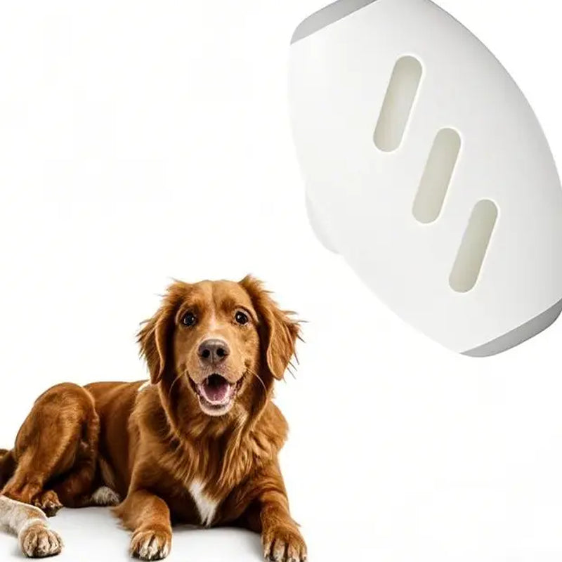 Reusable & Washable Pet Hair Remover with Durable Plastic Handle, High-Quality Manual Lint Roller, No Batteries Required for Home Use